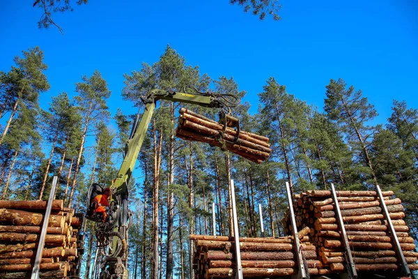 Guindaste Troncos Carregamento Florestal Caminhão Operador Guindaste Carregamento Logs Para — Fotografia de Stock