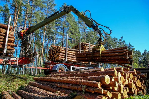 Crane Forest Loading Logs Truck Timber Harvesting Transportation Forest Transport — Stock Photo, Image