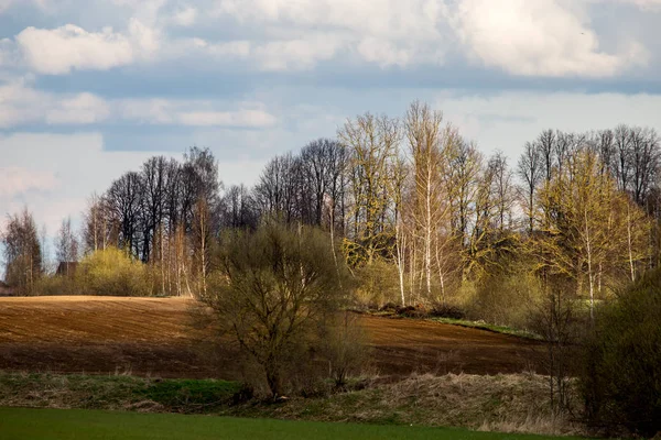 Campo Arato Con Alberi Sul Retro Contro Cielo Blu Paesaggio — Foto Stock