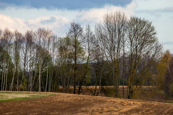 Campo Arato Con Alberi Sul Retro Contro Cielo Blu Paesaggio — Foto Stock