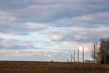 Pürüzlü tarlalar ve arkadaki ağaçlar, mavi gökyüzüne karşı. Mısır tarlası, ahşap ve bulutlu mavi gökyüzü olan bahar manzarası. Letonya 'da klasik kırsal alan.
