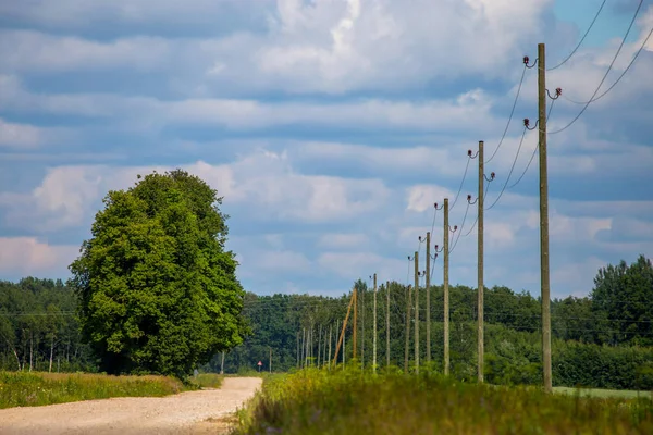 Summer Landscape Empty Road Trees Blue Sky Electrical Poles Next — Stock Photo, Image