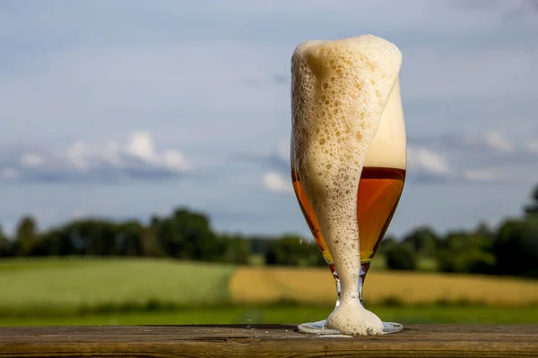 Glass of light beer with foam and bubbles on wooden table on summer landscape background. Beer is an alcoholic drink made from yeast-fermented malt flavoured with hops.