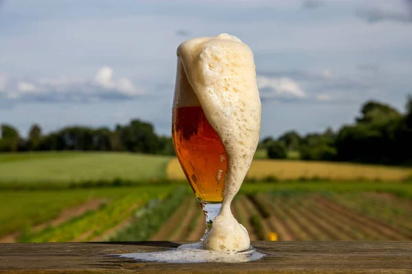 풍경을 배경으로 거품과 거품이 가벼운 Beer 발효를 맥아를 후프로 술이다 — 스톡 사진