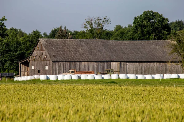 Hooibalen in de weide in de buurt van de schuur. — Stockfoto