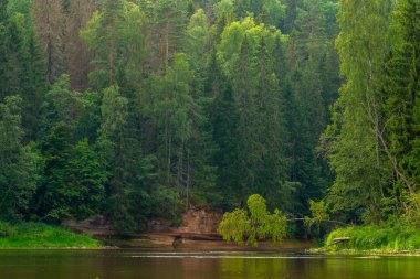 Nehir, cliff ve orman Letonya ile manzara.