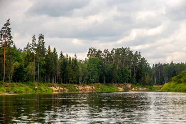 Пейзаж с рекой, скалой и лесом в Латвии . — стоковое фото