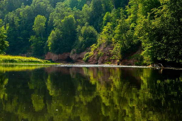 Пейзаж с рекой, скалой и лесом в Латвии . — стоковое фото