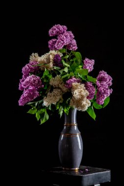 Siyah arka planda vazo Lila