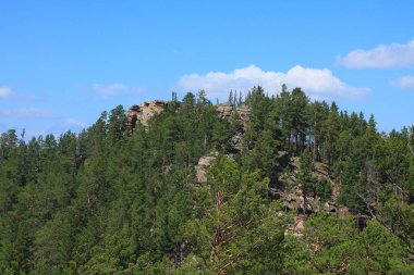 Sibirya Tayga mount Rocky tepesinde. yablonovy ridge, transbaikalia