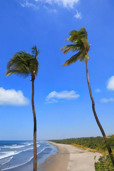 Tropical resort — Stock Photo, Image