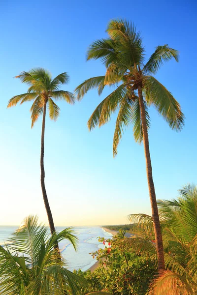 Tropical resort during sunset — Stock Photo, Image