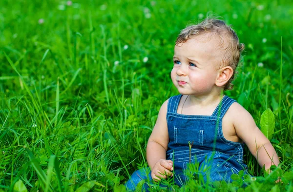 Netter Kleiner Junge Sitzt Auf Grünem Gras Park — Stockfoto