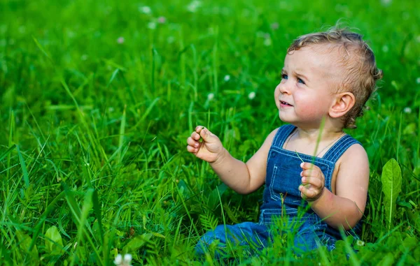 Bonito Menino Sentado Grama Verde Parque — Fotografia de Stock