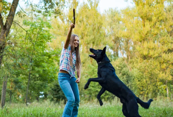 Young Teenage Girl Play Shepherd Dog Park Outdoor — Stock Photo, Image
