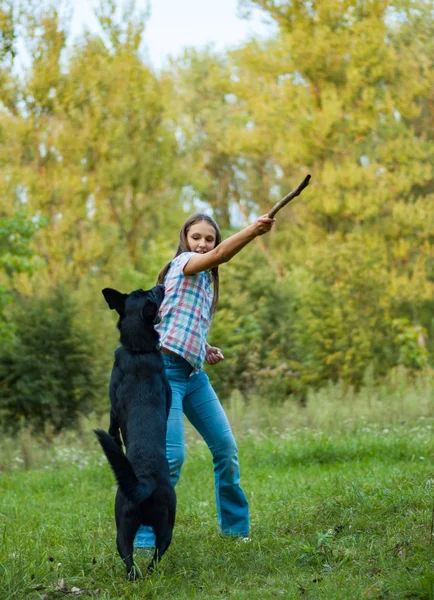 Mladá Dospívající Dívka Hrát Pastevecký Pes Parku Venkovní — Stock fotografie