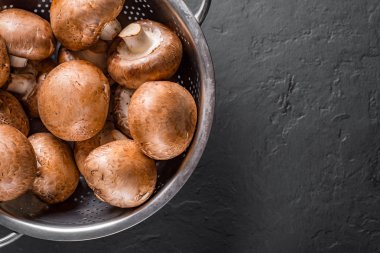 Taze çiğ mantar şampiyonları paslanmaz çelik kevgir ile koyu gri arka planda fotokopi alanı ile. en üstteki görünüm