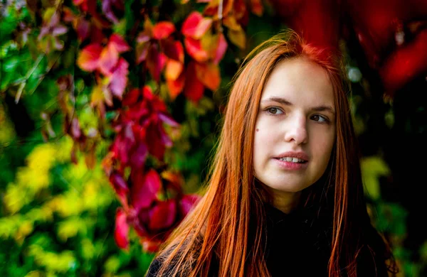 若いですティーンRedhead女の子とともに長い髪で秋の植物の葉の背景 — ストック写真