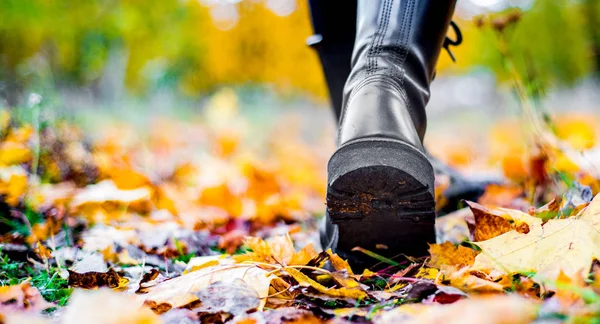 Perna Mulher Botas Andando Parque Outono Com Espaço Cópia — Fotografia de Stock