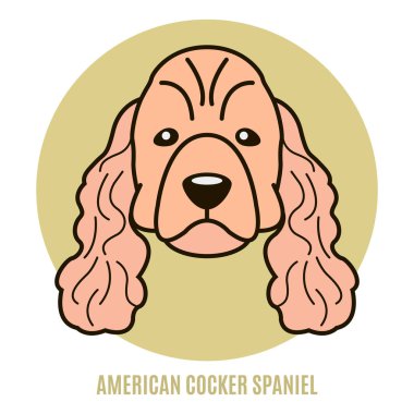 Amerikan Cocker Spaniel portresi. Vektör çizim tarzı düz