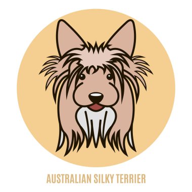 Avustralya ipek korkunç portresi. Vektör çizim tarzı düz