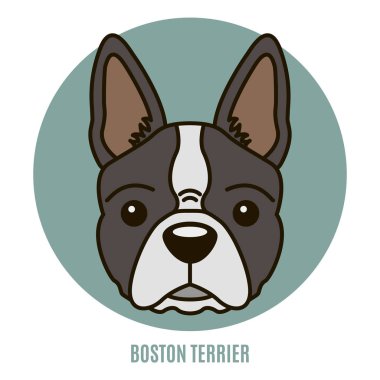 Boston korkunç portresi. Vektör çizim tarzı düz