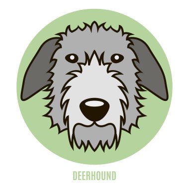 Deerhound portresi. Düz vektör  