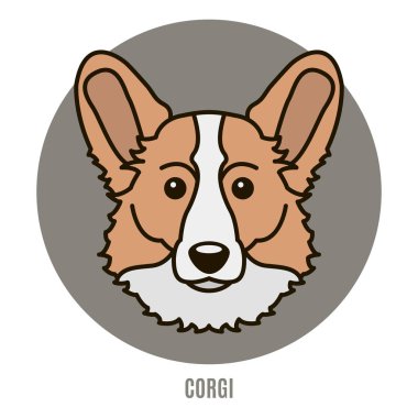 Corg portresi. Düz vektör  