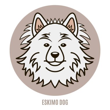 Eskimo köpek portresi