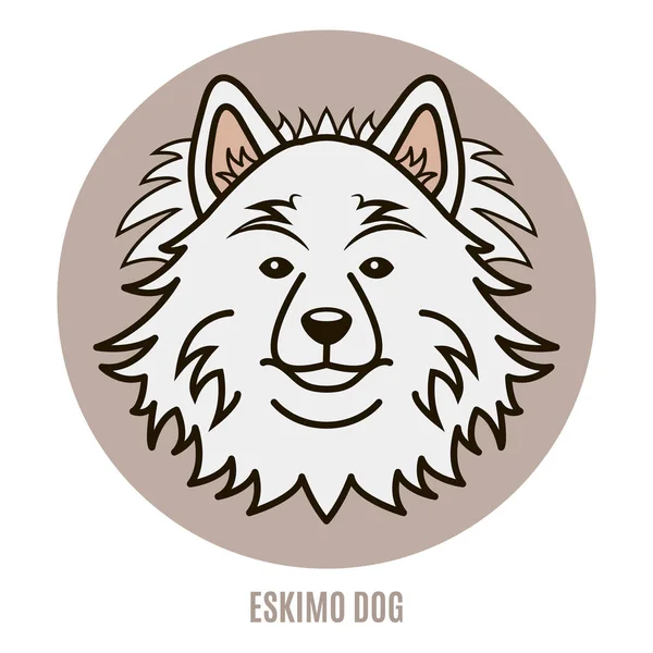 Eskimo köpek portresi