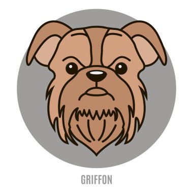 Griffon portresi. Düz tarzı
