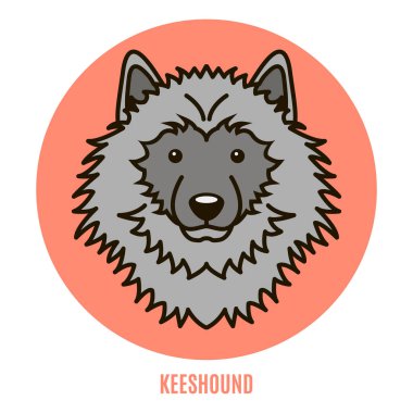 Keeshound portresi. Düz tarzı