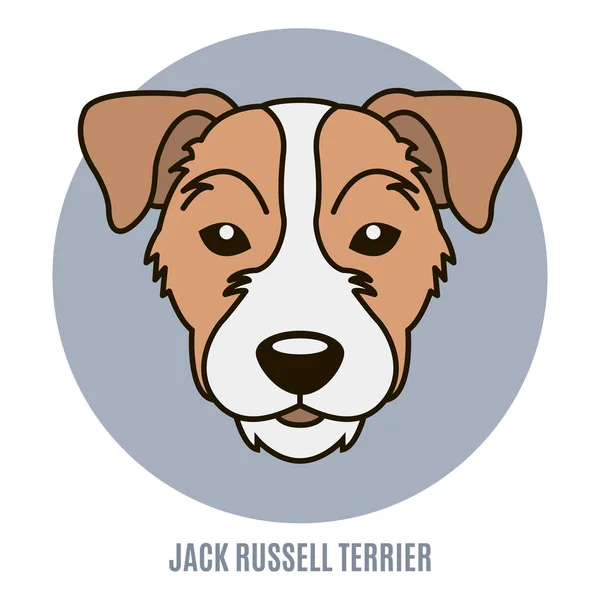 ジャック ラッセル テリアの肖像画 フラット スタイル — ストックベクタ