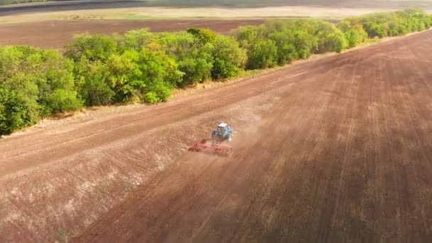 在耕田种植上的拖拉机鸟图 — 图库视频影像