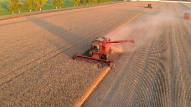 Havadan bakıldığında kırmızı hasat, altın rengi buğday tanelerini topluyor.
