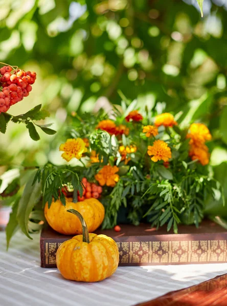 美しい秋の装飾とバスケットミニカボチャと素朴な農家の国のテーブルの上のテーブル設定 — ストック写真