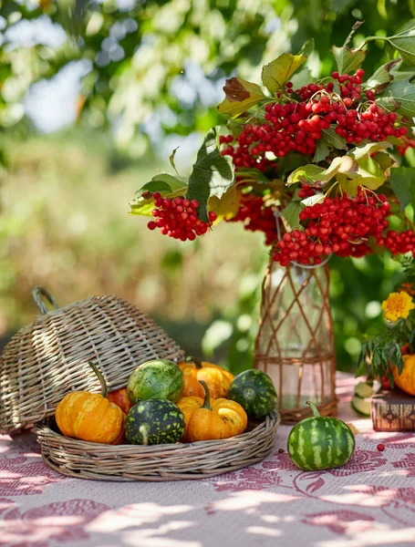 美しい秋の装飾とバスケットミニカボチャと素朴な農家の国のテーブルの上のテーブル設定 — ストック写真