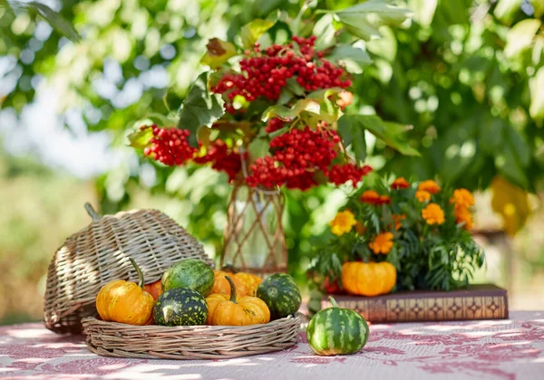 Cenário de mesa em uma mesa de campo rústica fazenda com bela decoração de outono e com cesta mini abóboras — Fotografia de Stock