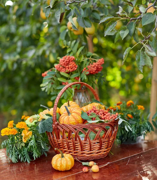 Tischdekoration auf einem rustikalen Bauernhofteller mit wunderschönem Herbstschmuck und Korb mit Mini-Kürbissen lizenzfreie Stockbilder
