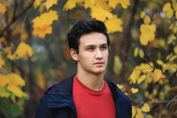 Happy Boy Outdoors Autumn City Park — Stock Photo, Image