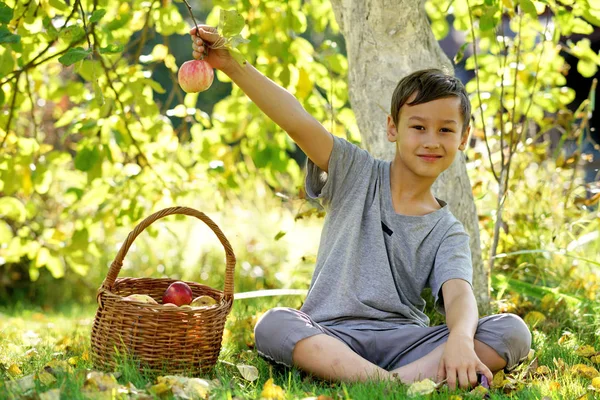 Happy boy outdoors in autumn garden with apples — Stock Photo, Image