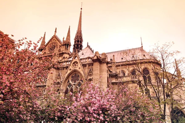 Catedral de Notre Dame de París, Francia. Arquitectura gótica — Foto de Stock