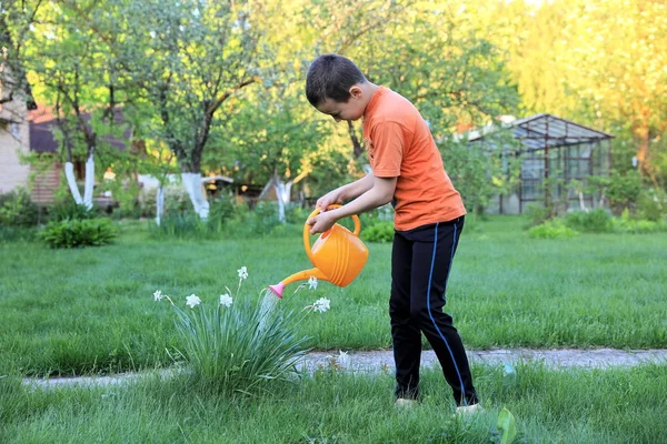 Pojken vattning blommor utomhus — Stockfoto