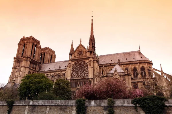 Notre Dame de Paris Cathedral, Frankrike. Gotisk arkitektur — Stockfoto