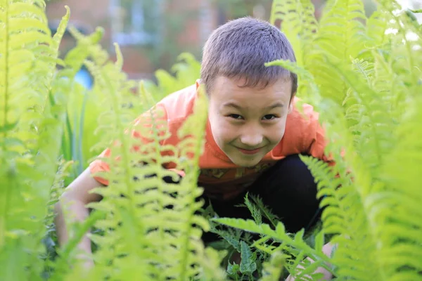 Niño ocultar en verde hierba — Foto de Stock