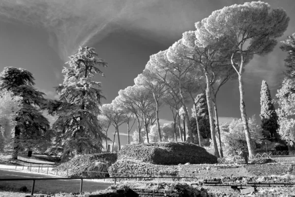 The Palatine Hill, which is the centremost of the Seven Hills of