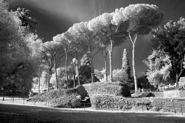 Der Palatin Hügel Das Zentrum Der Sieben Hügel Von Rom — Stockfoto