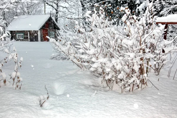 Сельская Местность Снегопадом — стоковое фото