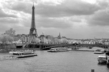 Paris, Fransa 'daki Eyfel Kulesi ve Alexandre Köprüsü.