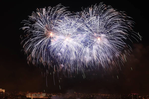 Holidays Fireworks Night Sky — Stock Photo, Image